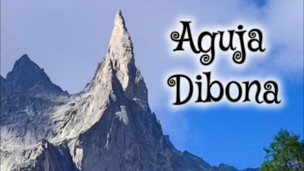 Aguja Dibona