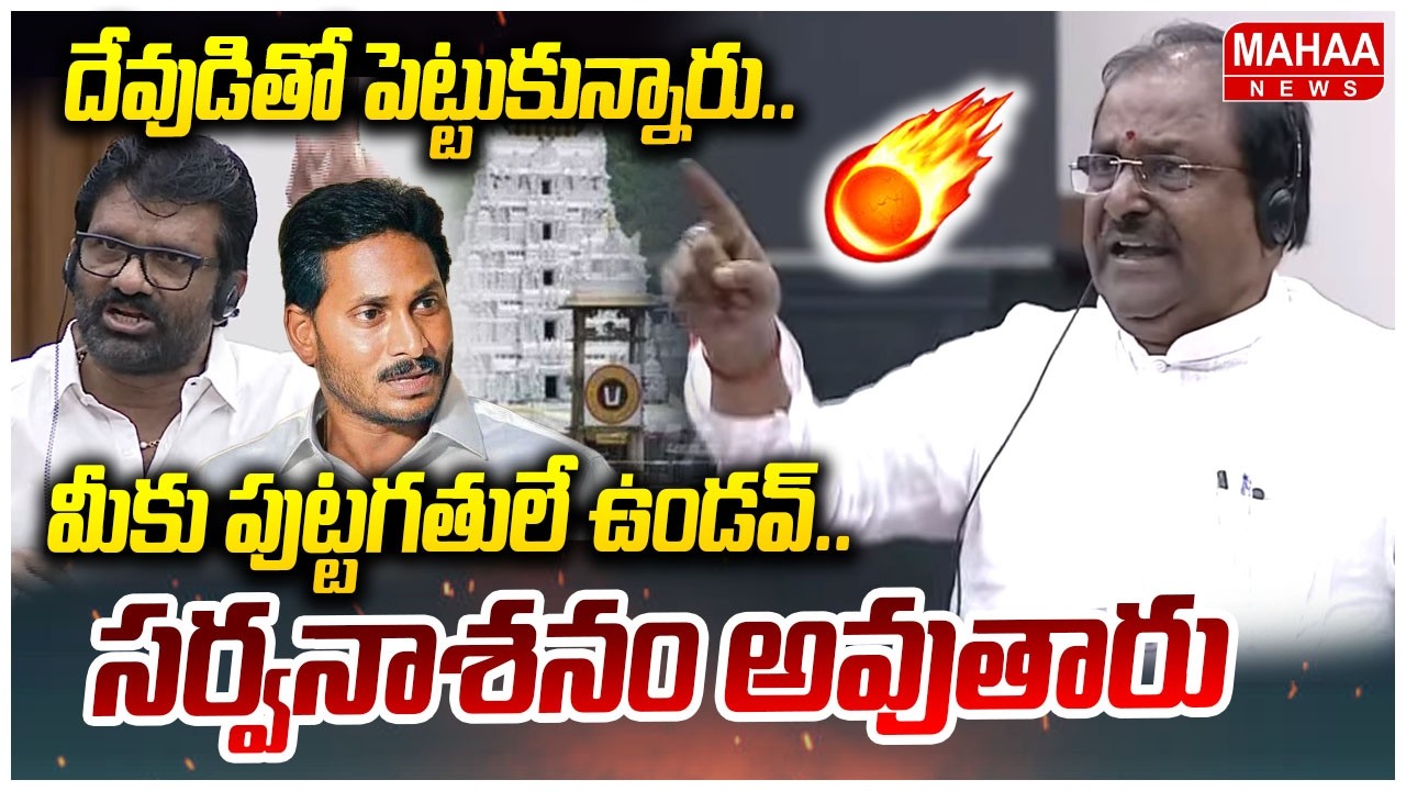 దేవుడితో పెట్టుకున్నారు..మీకు పుట్టగతులే ఉండవ్..సర్వనాశనం అవుతారు | AP Council