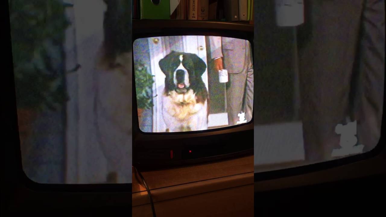 Presentazione e funzionamento videoregistratore SELECO SV835 SE e televisione MIVAR 16 M1 TDV
