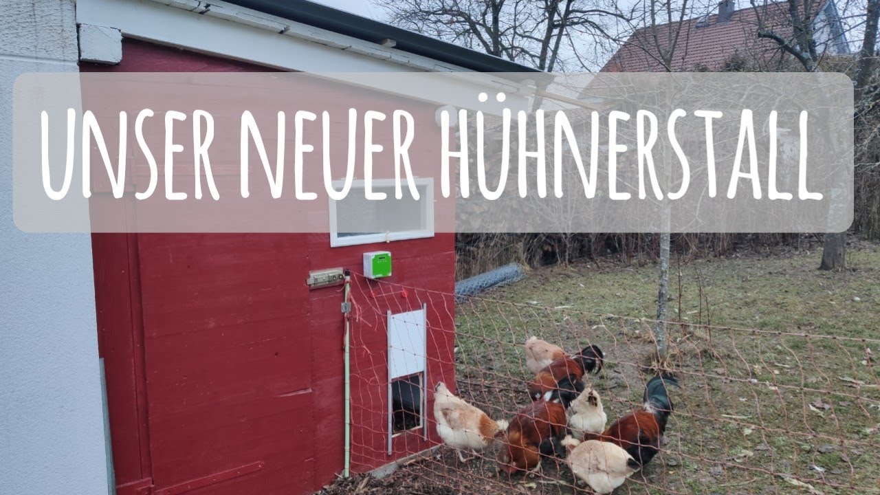 Hühnerhaltung im Garten | Unser neuer Hühnerstall