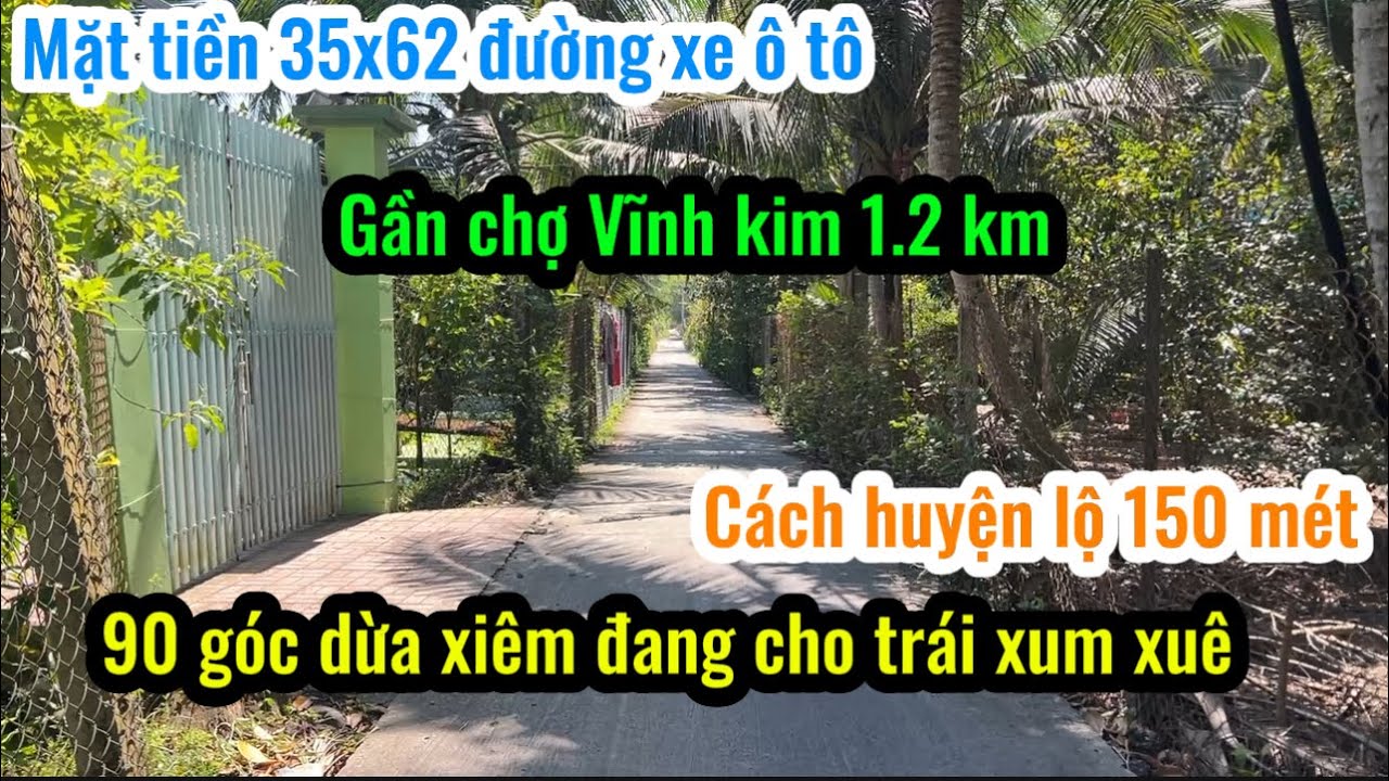 T.3162 Đep quá trời luôn đường xe ô tô vườn dừa 35x62 đang cho trái xum xuê gần chợ Vĩnh kim luôn 