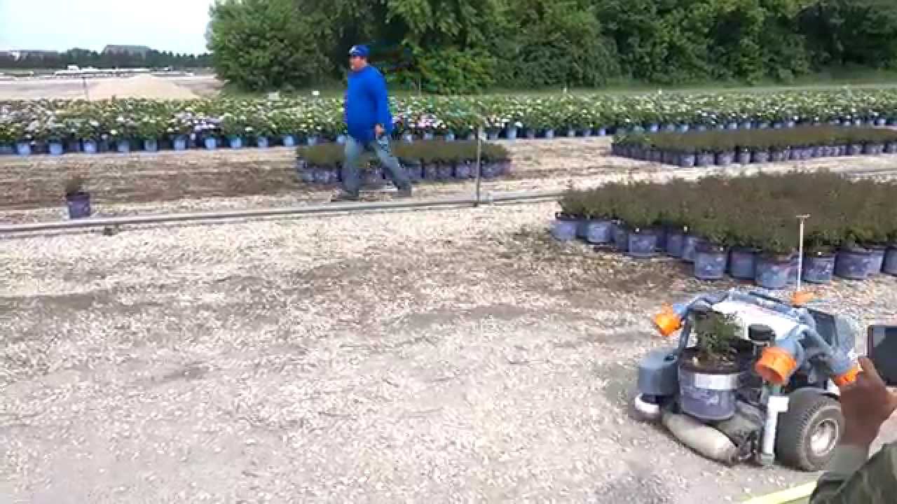 Plant Spacing robots at Bailey Nursery (APGA 2015)