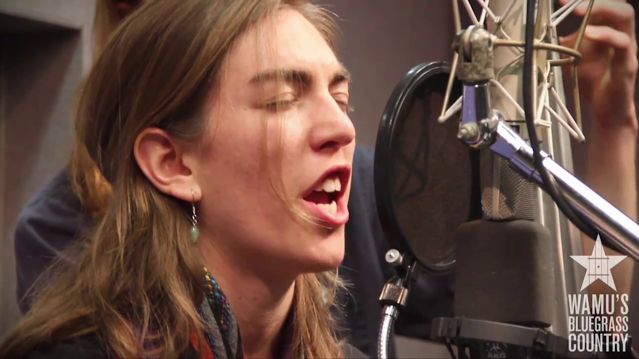 The Stray Birds - Wildflower Honey [Live at WAMU's Bluegrass Country]