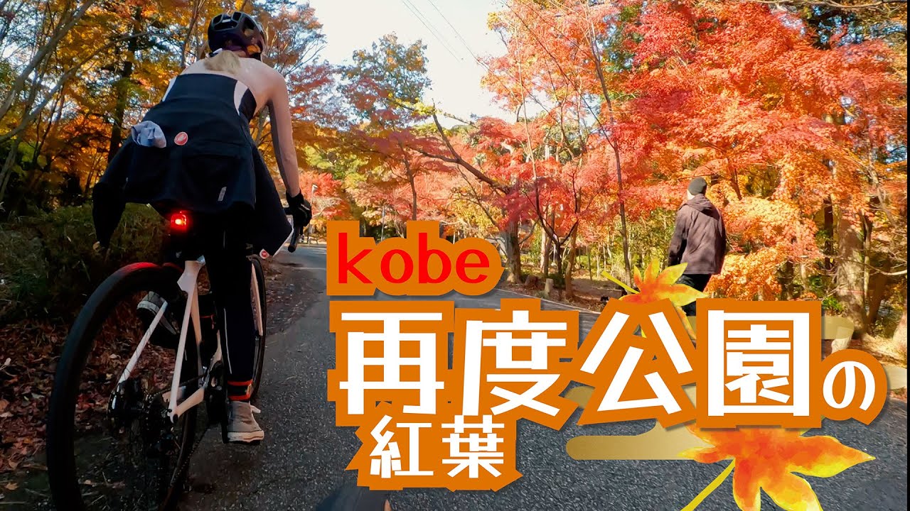 【ロードバイクVlog】kobe再度公園の紅葉2024