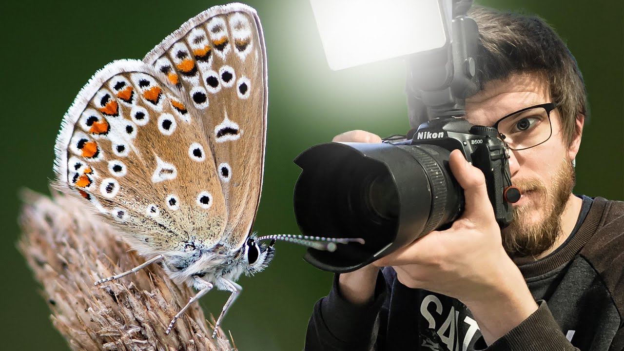 Incredible Close Encounters! | UK Wildlife Macro Photography!