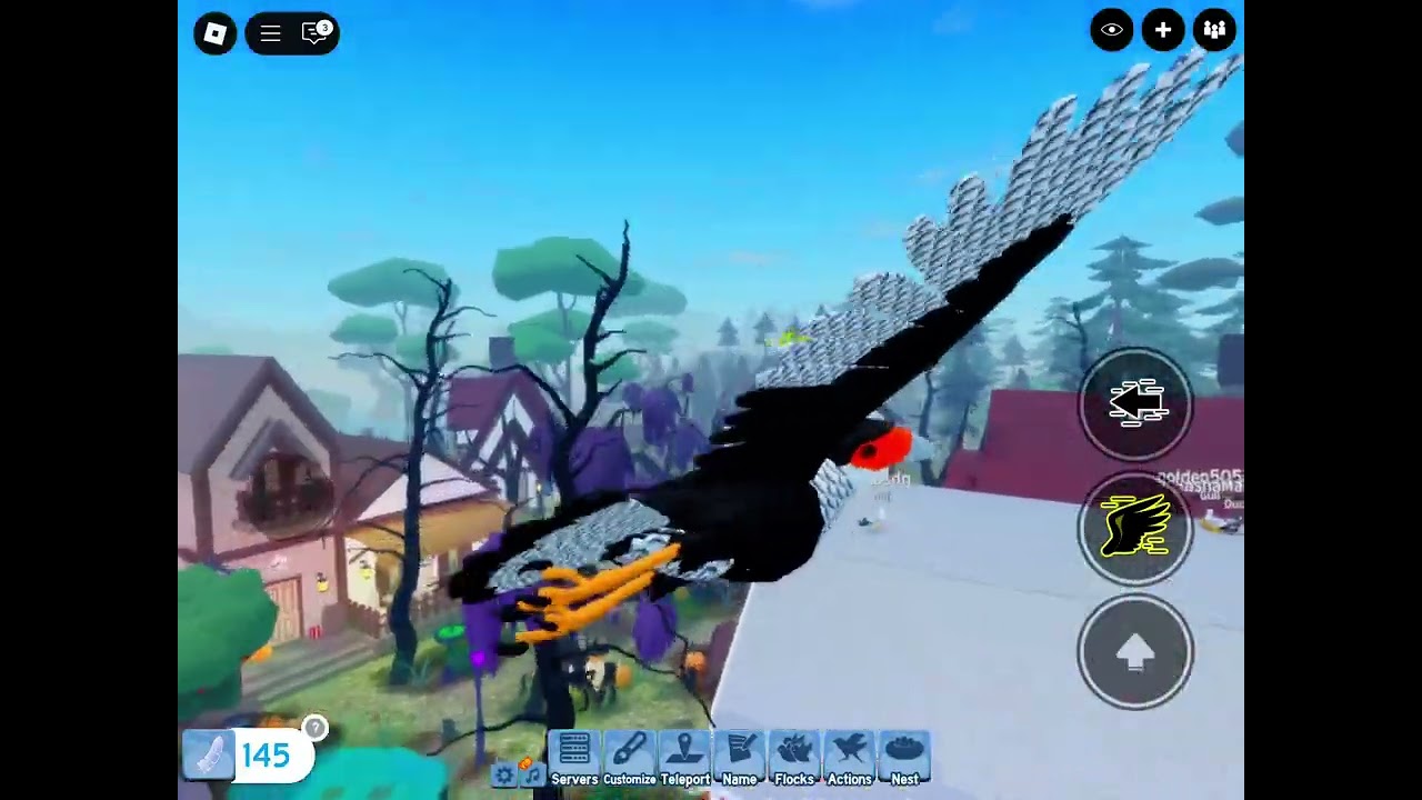 New bird! Caracara
