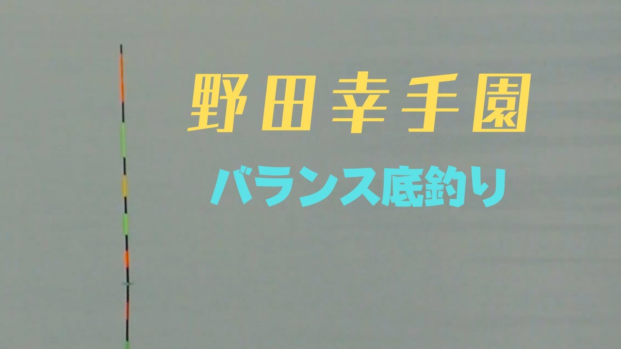 へらぶな釣り動画です。野田幸手園さんでの底釣り動画です。ウキの動きとともに見てください。