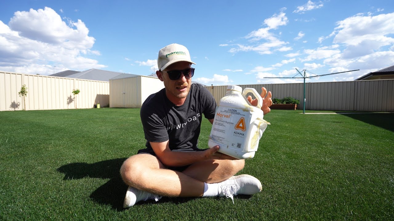 Why You Should Be Using Plant Growth Regulator On Your Lawn | All About PGR
