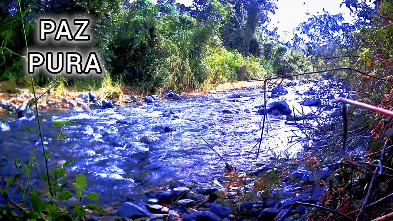 Paz Pura: Sonidos de Río para Dormir Profundamente y Relajarse