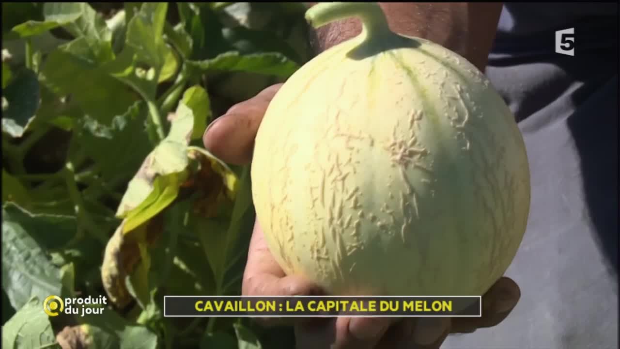 Cavaillon : la capitale du melon