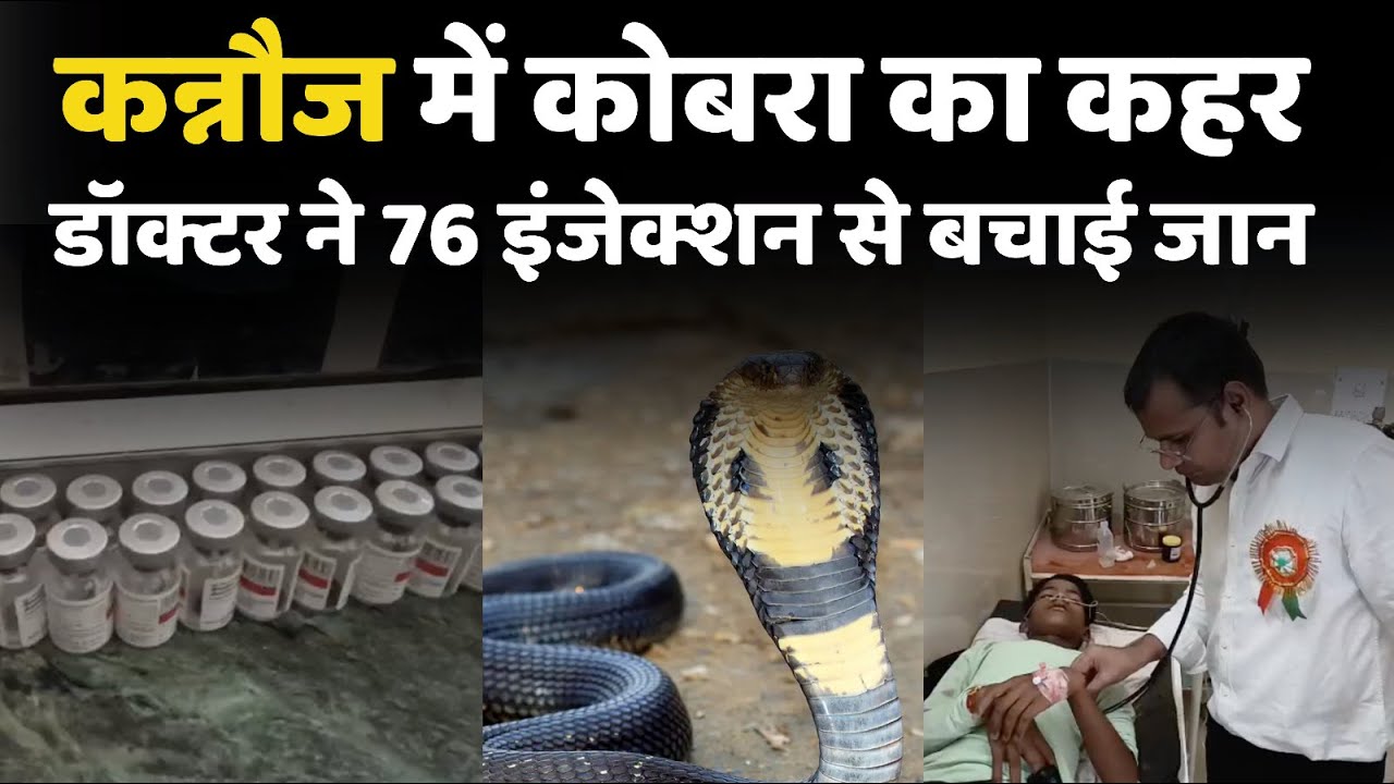 Kannauj Cobra का कह, Doctor ने 76 इंजेक्शन से बचाई जान  | dilli24 |