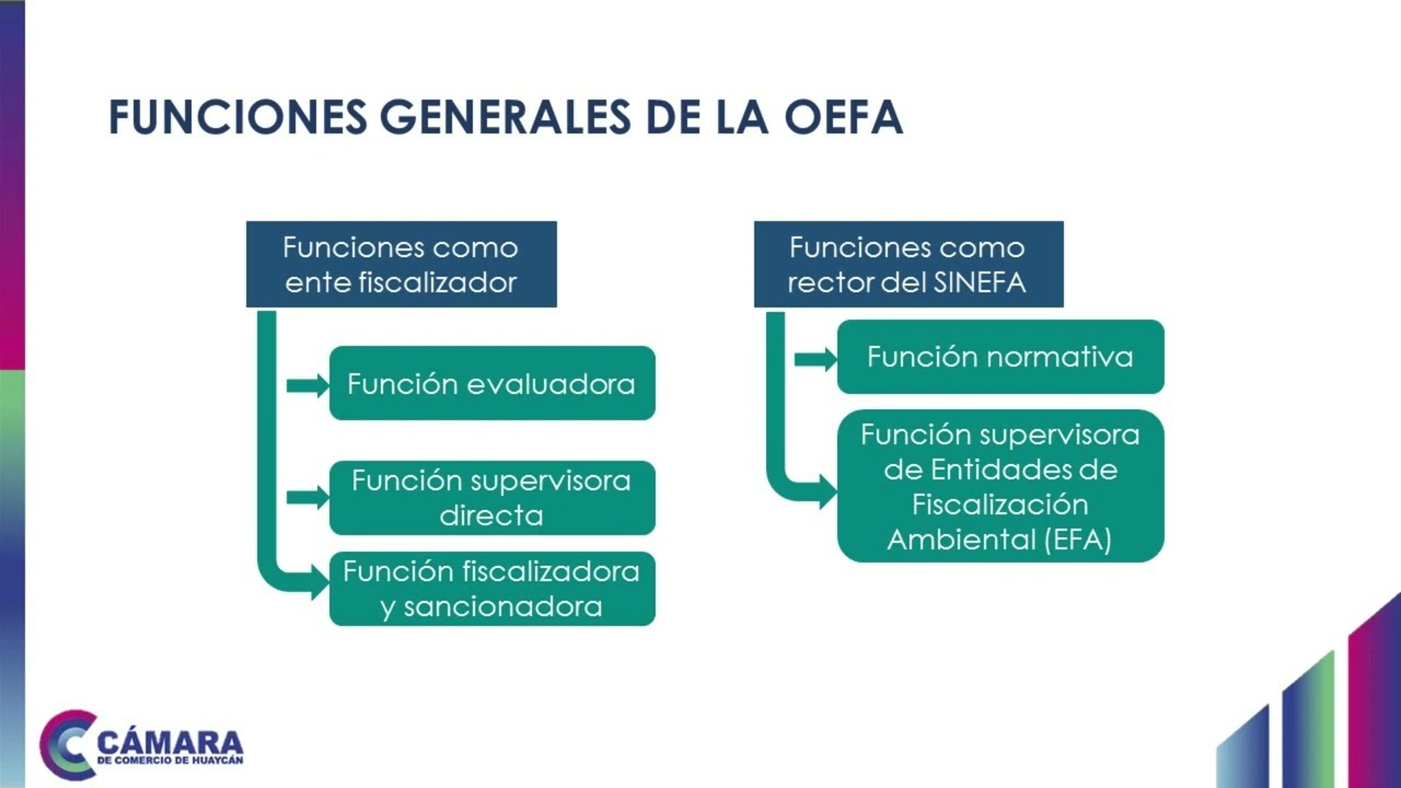 FAC1M2 - Modelos institucionales para la fiscalización - Parte 2