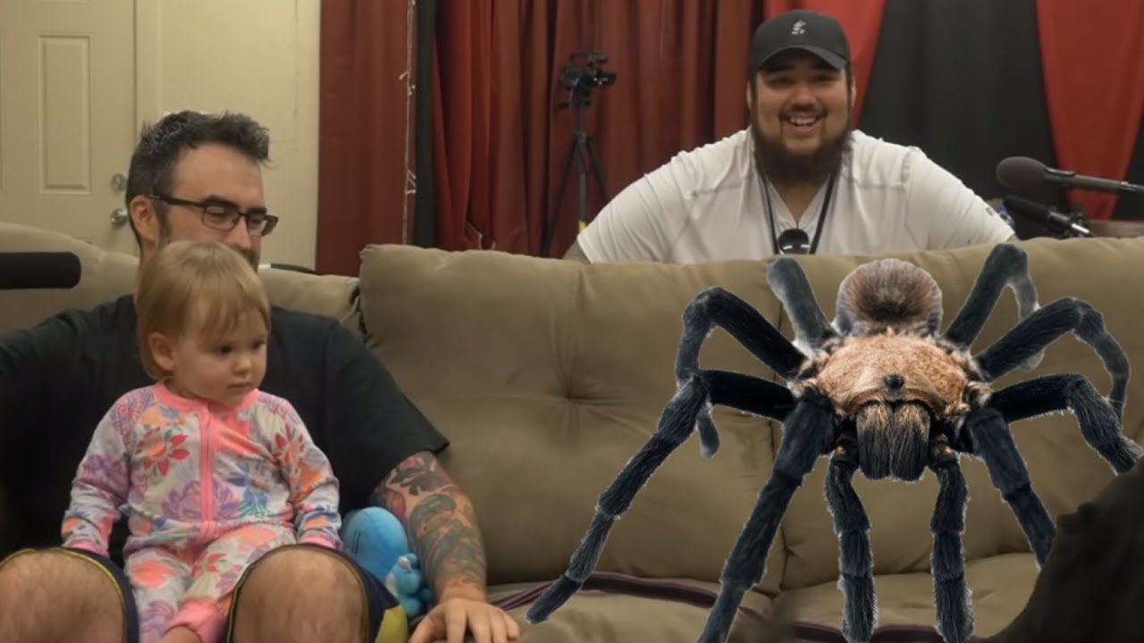 Giant Spider On The Couch | Meme Couch Arachnophobia