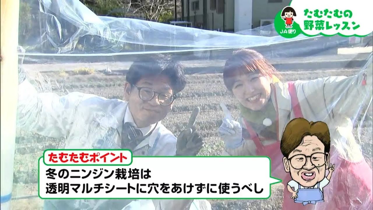 「冬のニンジン栽培は透明マルチシートに穴をあけずに使うべし」【第33回】｜【笑味ちゃん天気予報】たむたむの野菜レッスン 2026年1月16日放送