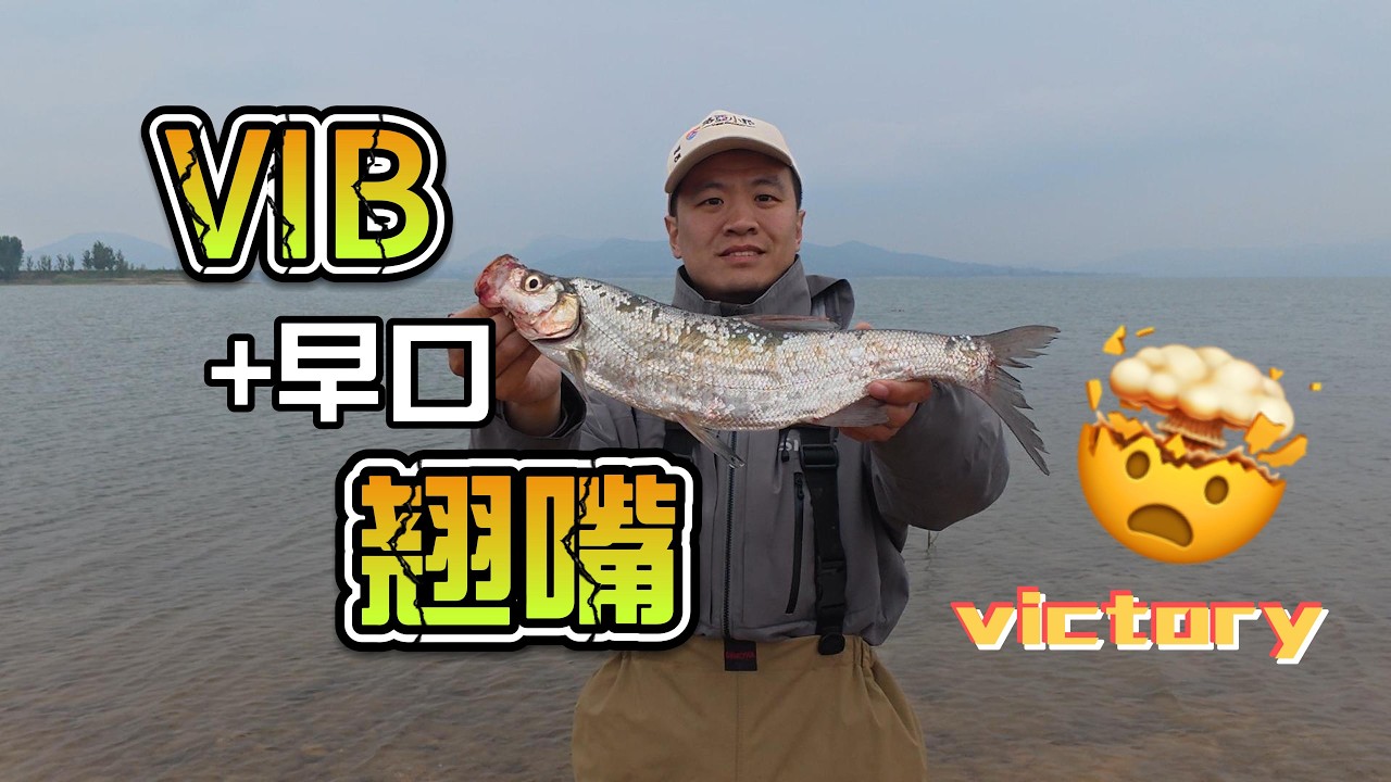 VIB使用分享｜早口路亚翘嘴全记录