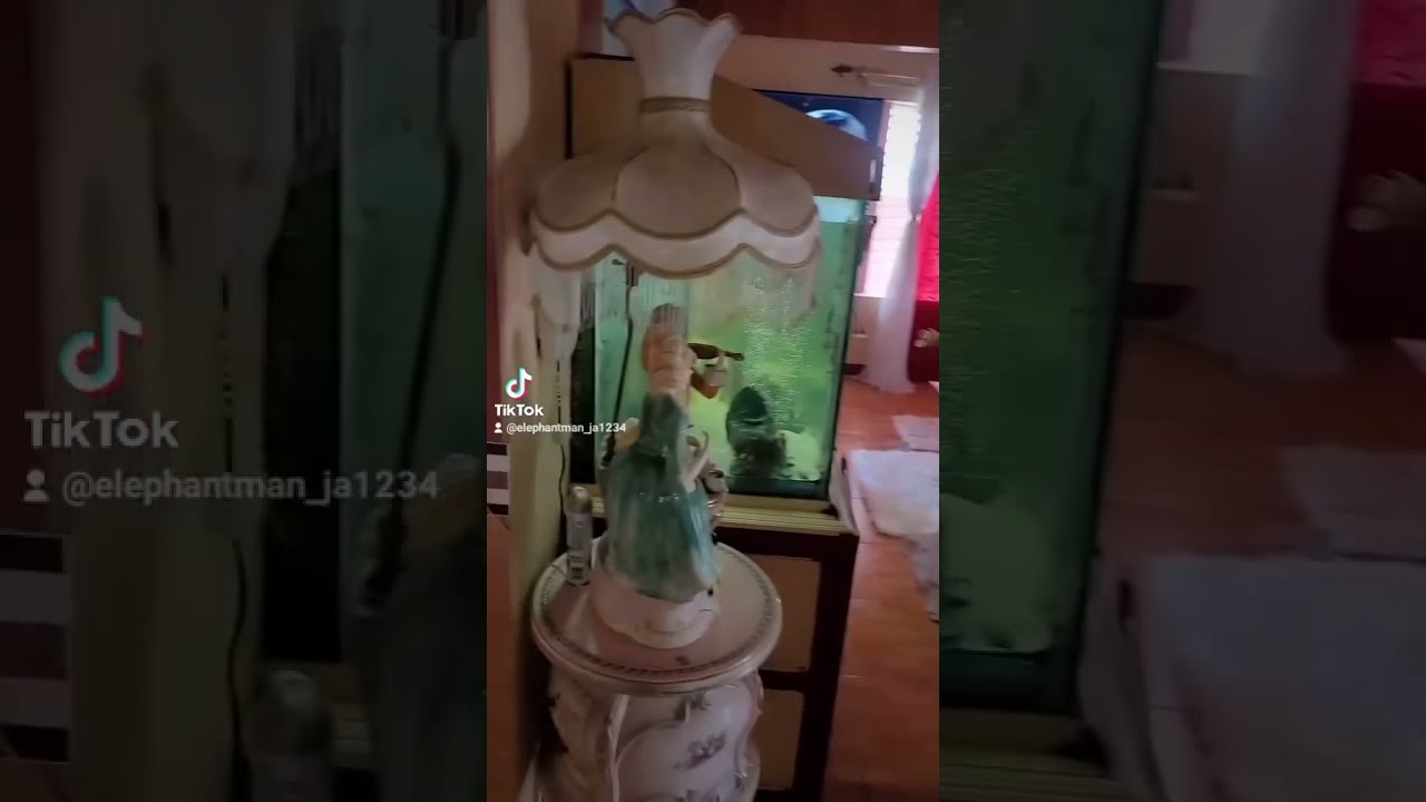 Elephant Man gives tour of his house