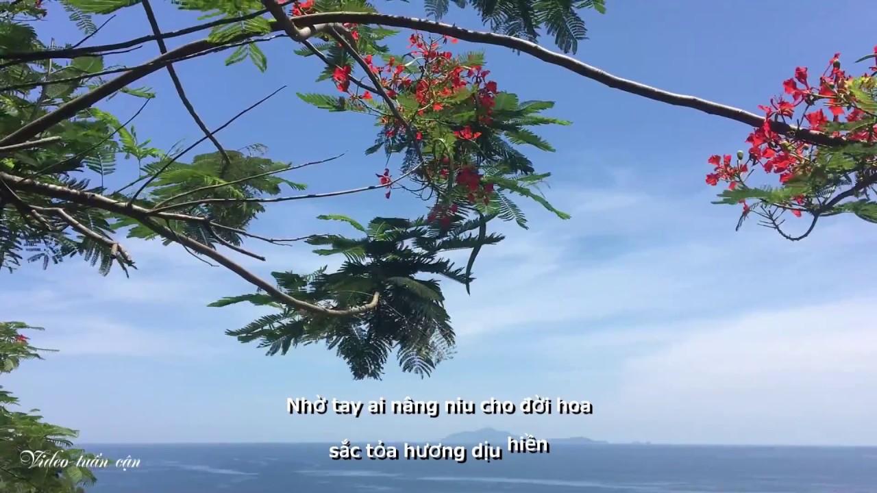 Kỷ Niệm Nào Buồn - Tuấn cận cover // Ca khúc hay nhất của tuổi học trò