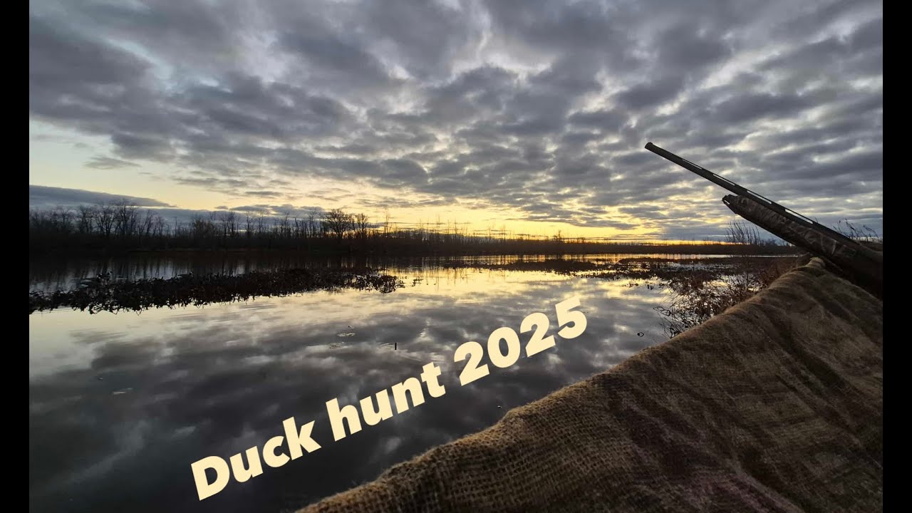 Duck Hunt 2025