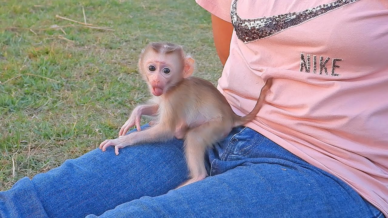 Adorable Valen Plays Walks And Drink Milk At Outdoor