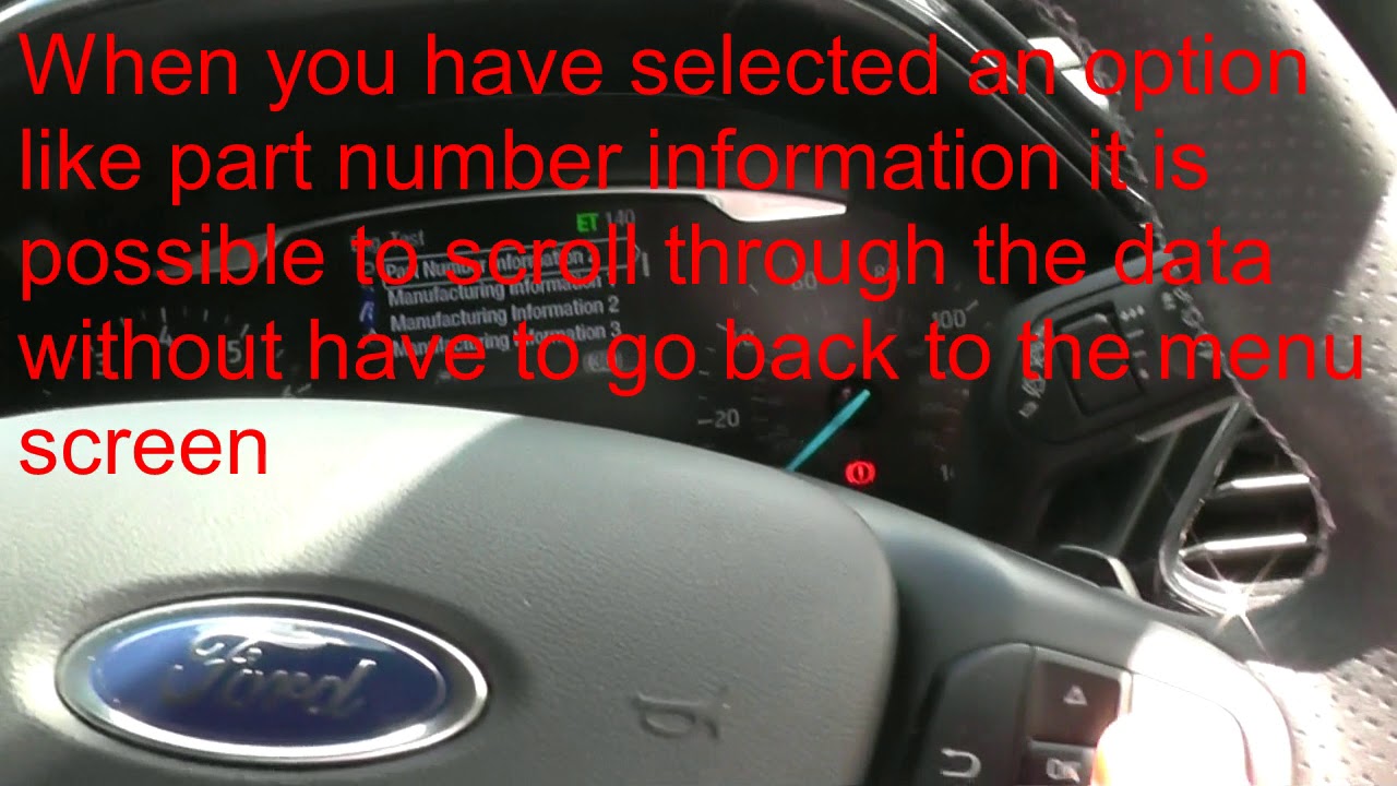 Ford Fiesta mk8 hidden sevice menu