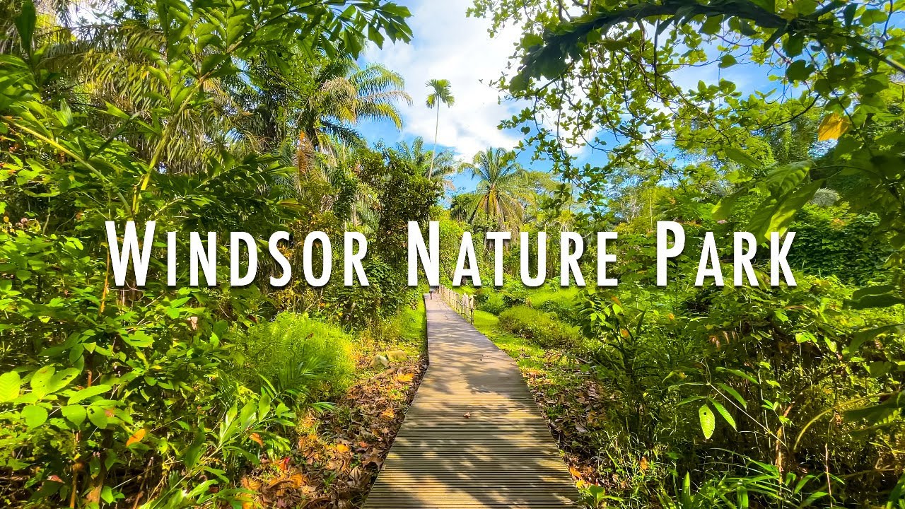 SINGAPORE PARKS - Windsor Nature Park | Hikes in Singapore