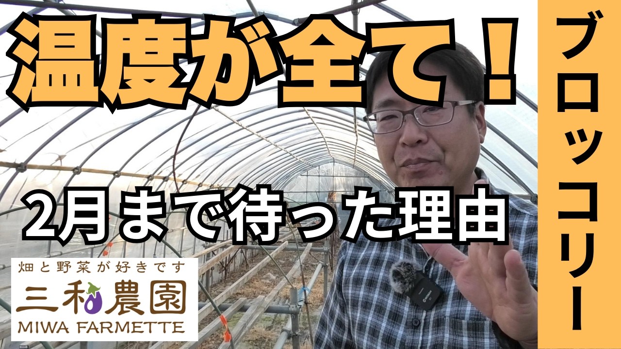 なぜ今なのか？2月中旬まで「種まき」を我慢したのには理由があります。（2026.2.13）