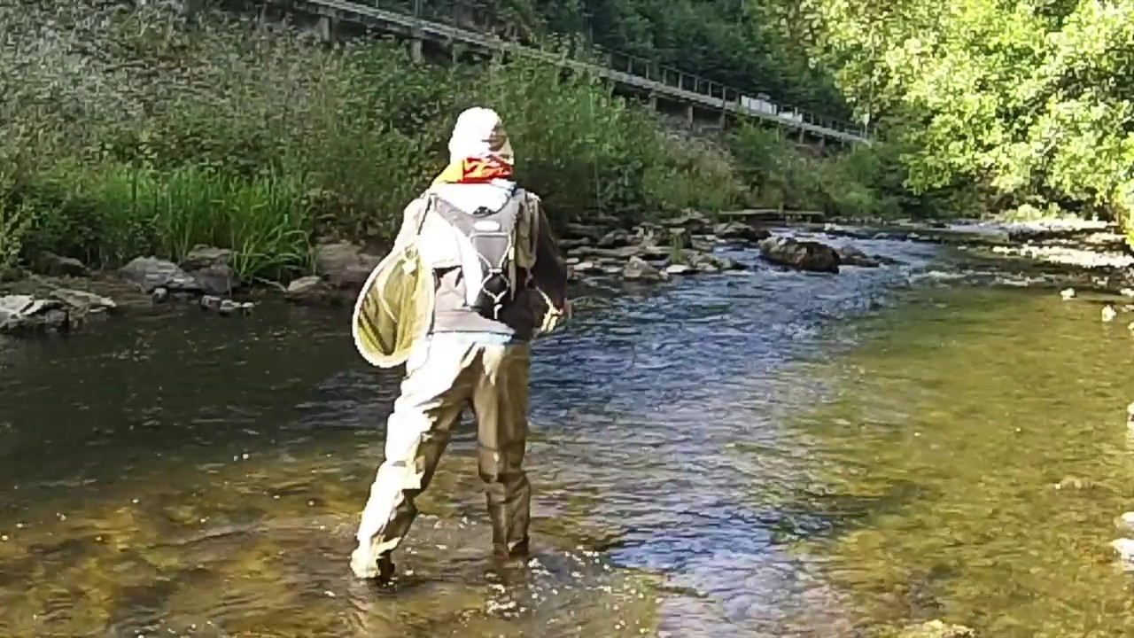 3ème et dernière partie reportage sur la pêche à la nymphe à la canne