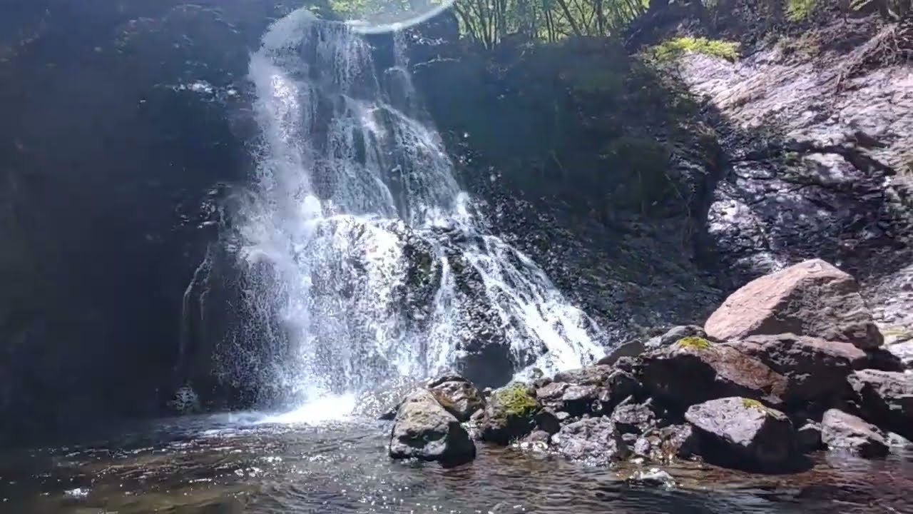 早戸川源流域の水中世界