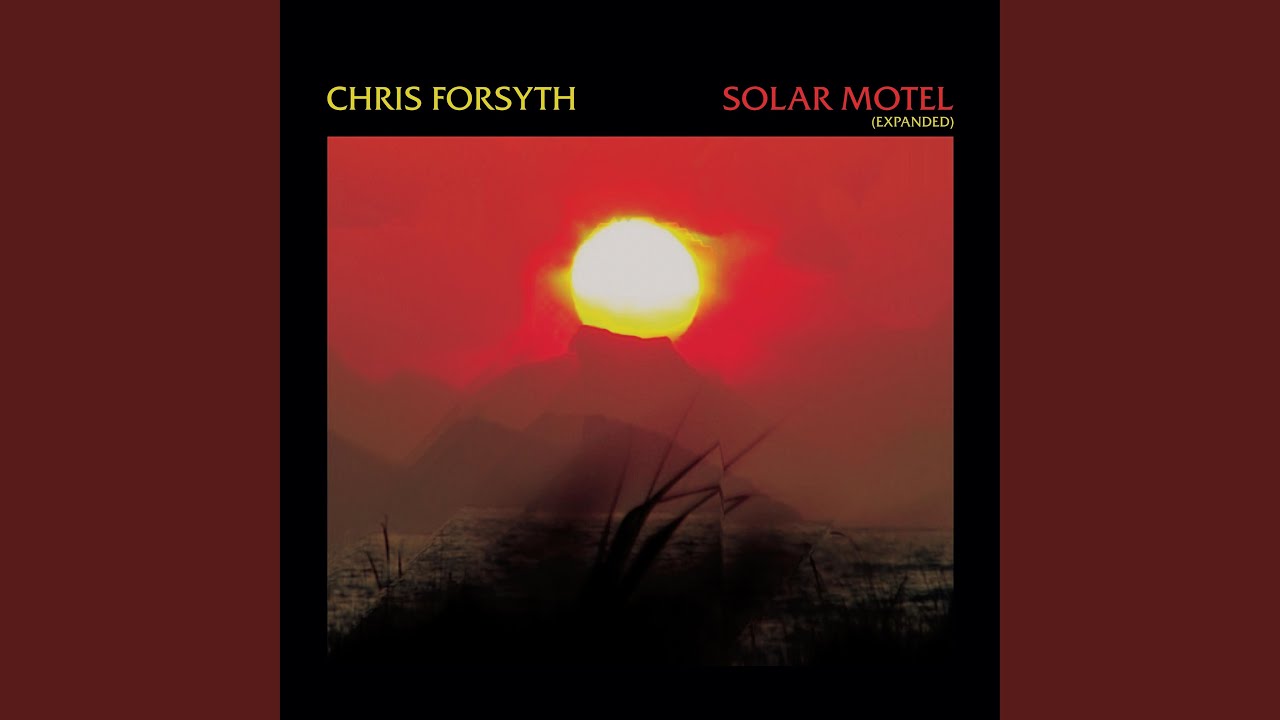 Solar Motel Part I ᐳ Paranoid Cat (Live on WFMU)