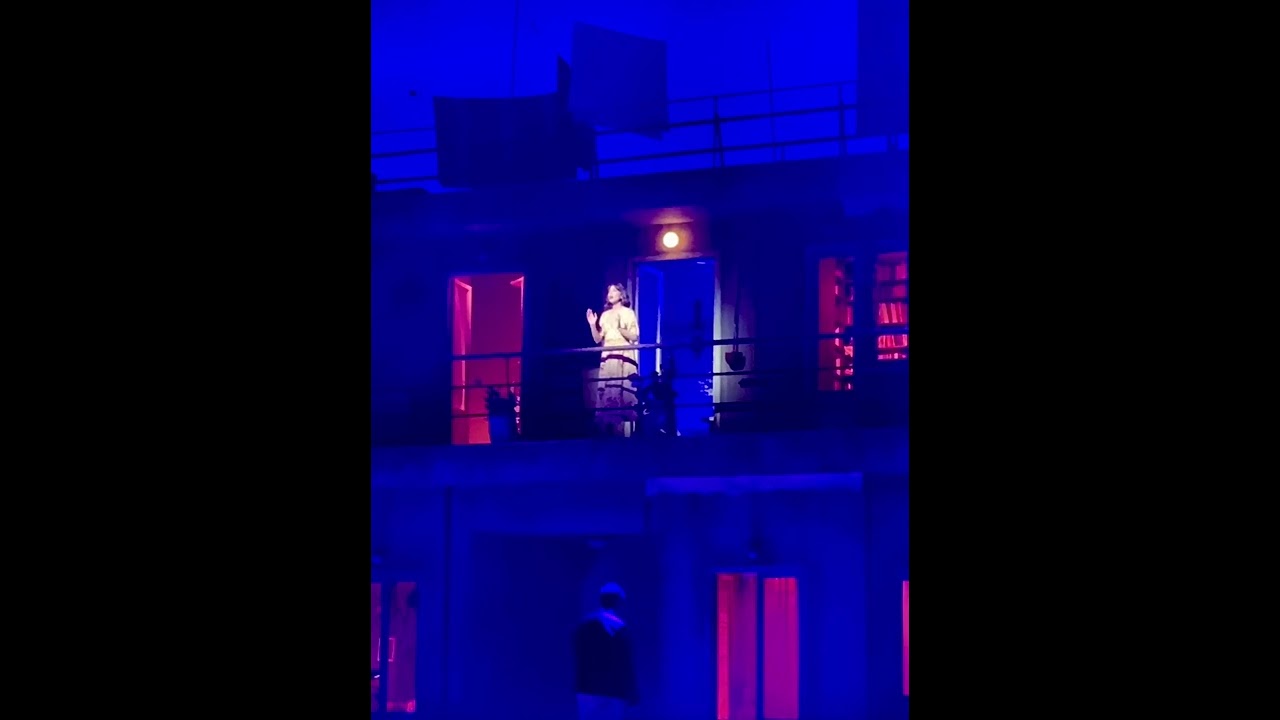 Κατερίνα Παπουτσάκη - Η Αυλή Των Θαυμάτων, Το Μιούζικαλ