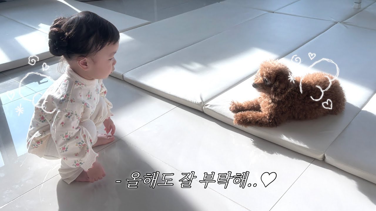 가족들이랑 새해 맞이..❣️아기랑 일상 브이로그