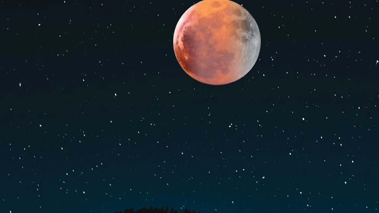 Sweet moonlight 