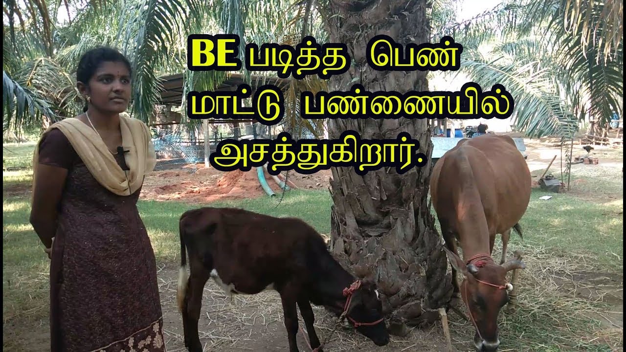 மாட்டு பண்ணை நடத்தும்  BE படித்த பெண் Milk farming