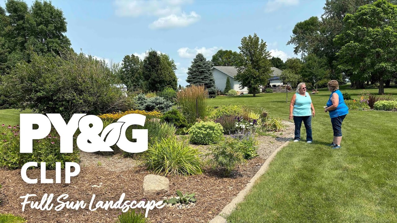Full Sun Landscapes My Green Thumb | Prairie Yard & Garden 3810