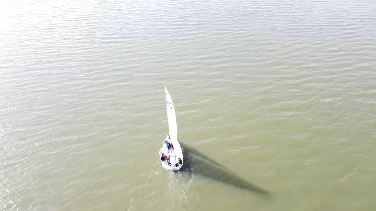 Swords Estuary Drone Footage | Ireland