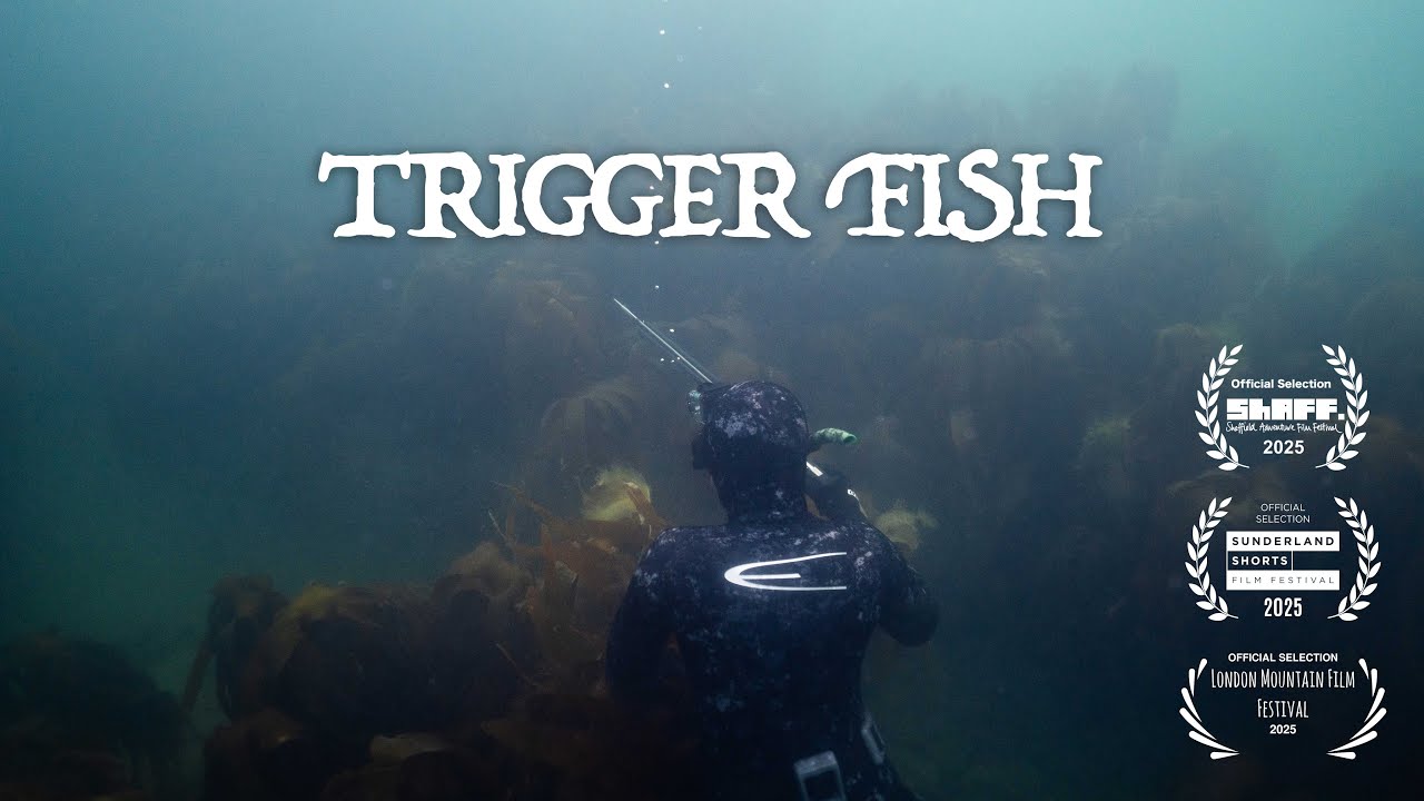 Trigger Fish | Spearfishing Northumberland | Tide to Table