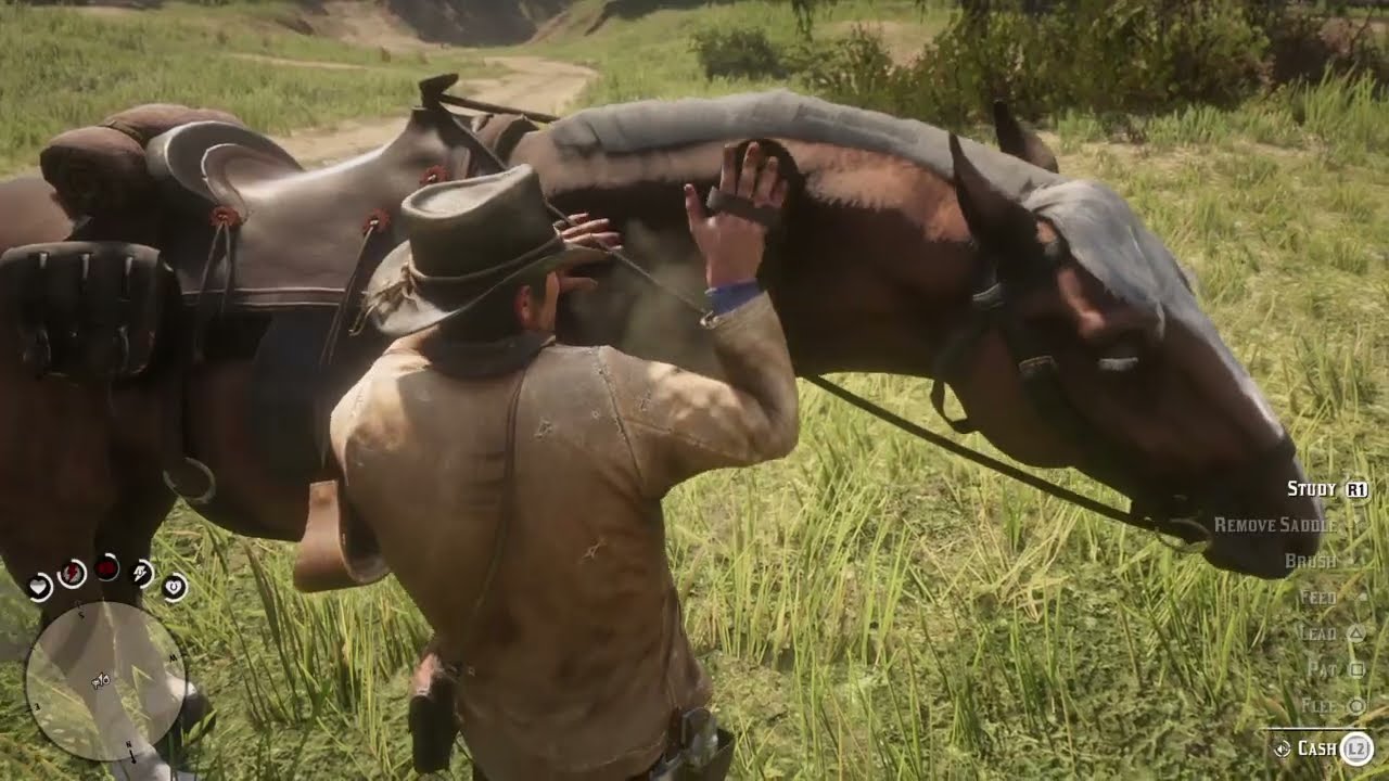 Red Dead Redemption 2