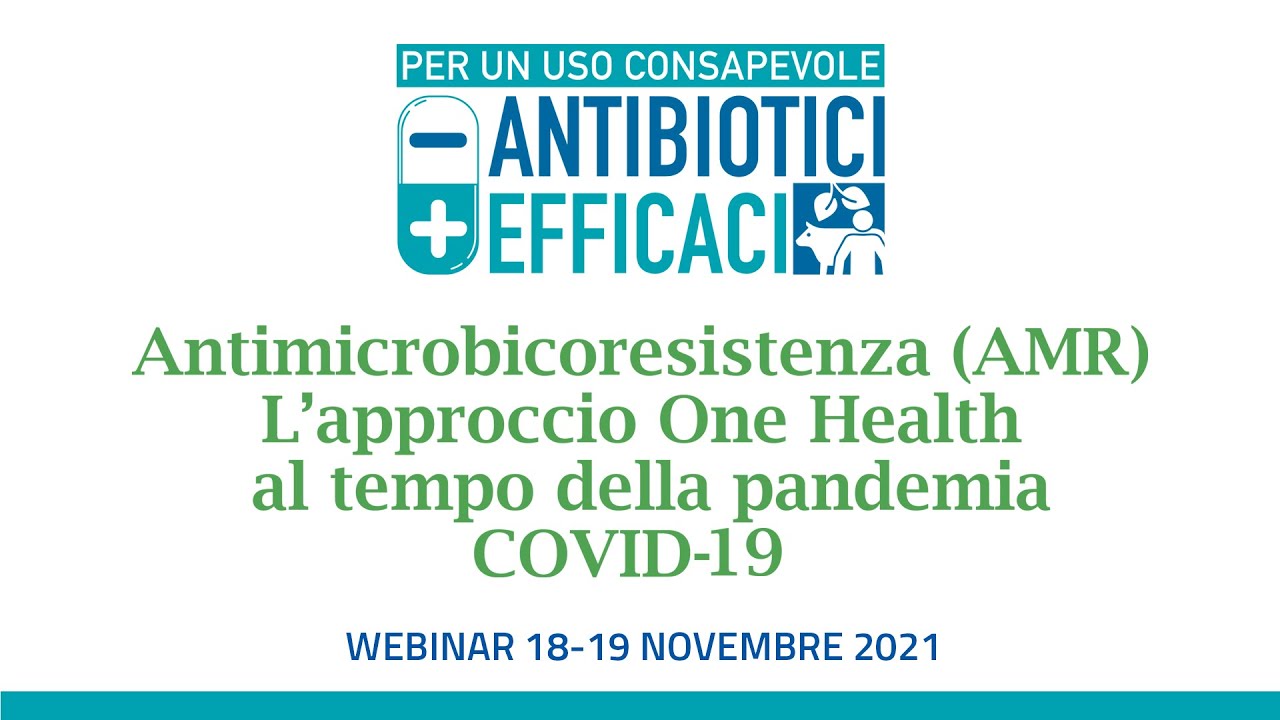 Webinar 
