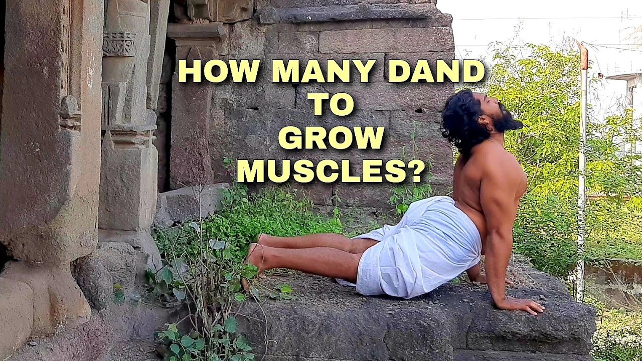How To Build Muscles By Just Doing Pushups? केवल दंड से स्नायूओ का आकार कैसे बढाये?