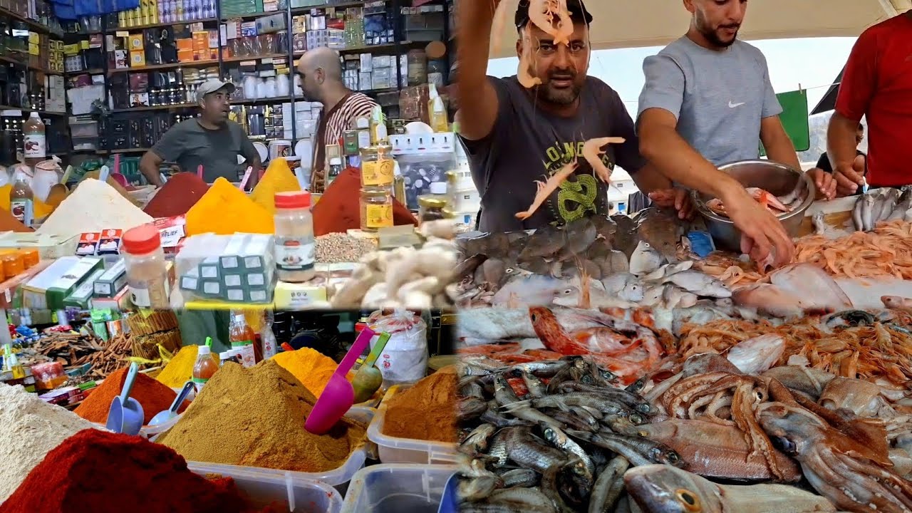 جولة ليوم في مرصة الحسيمة لخيرات الريف آللهم بارك وزيد في فيديو رائع شاهدوا معنا. 🐟🦐🐙