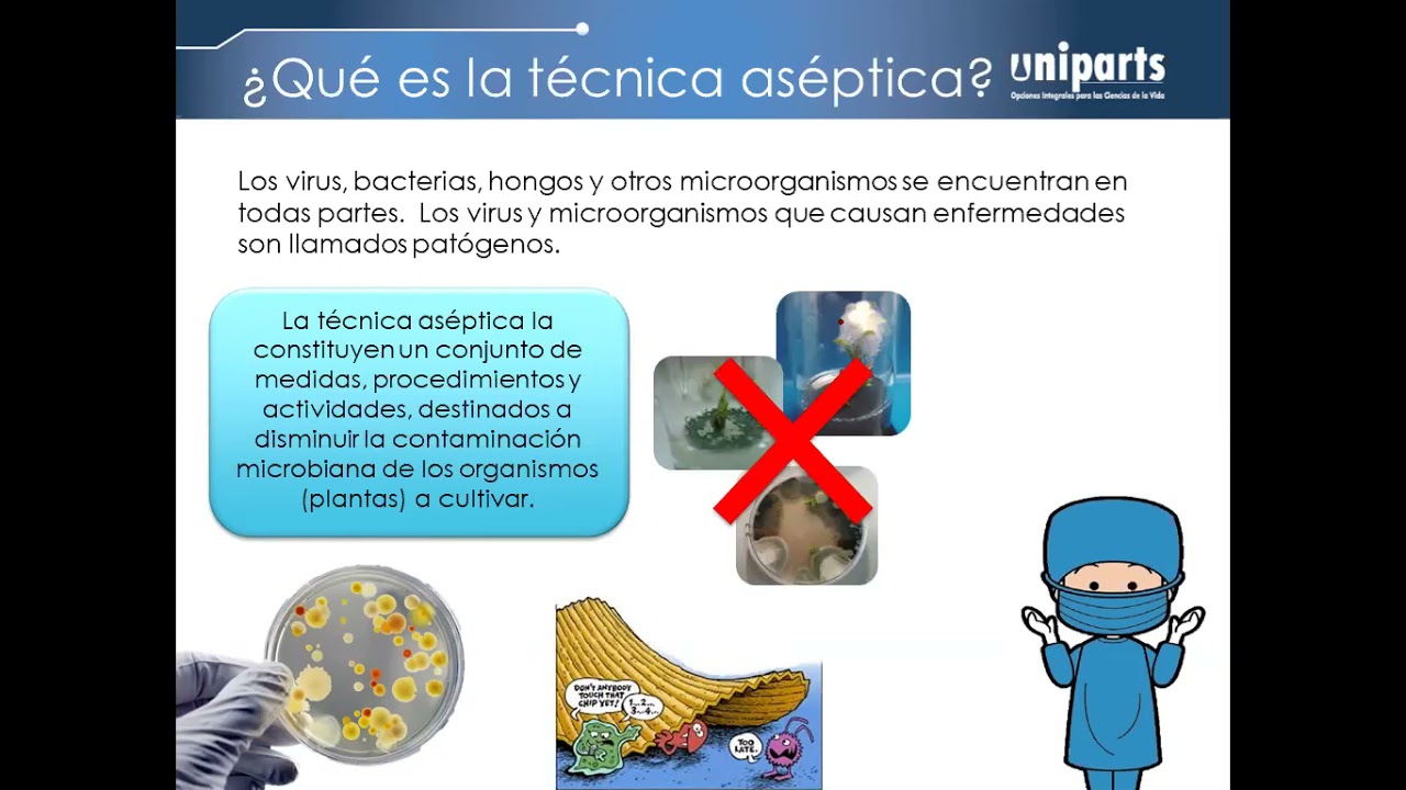 Curso de micropropagación Técnica aséptica Aclimatación