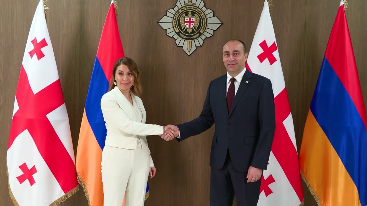 გეკა გელაძემ სომხეთის რესპუბლიკის საგარეო დაზვერვის სამსახურის უფროსს ქრისტინე გრიგორიანს უმასპინძლა