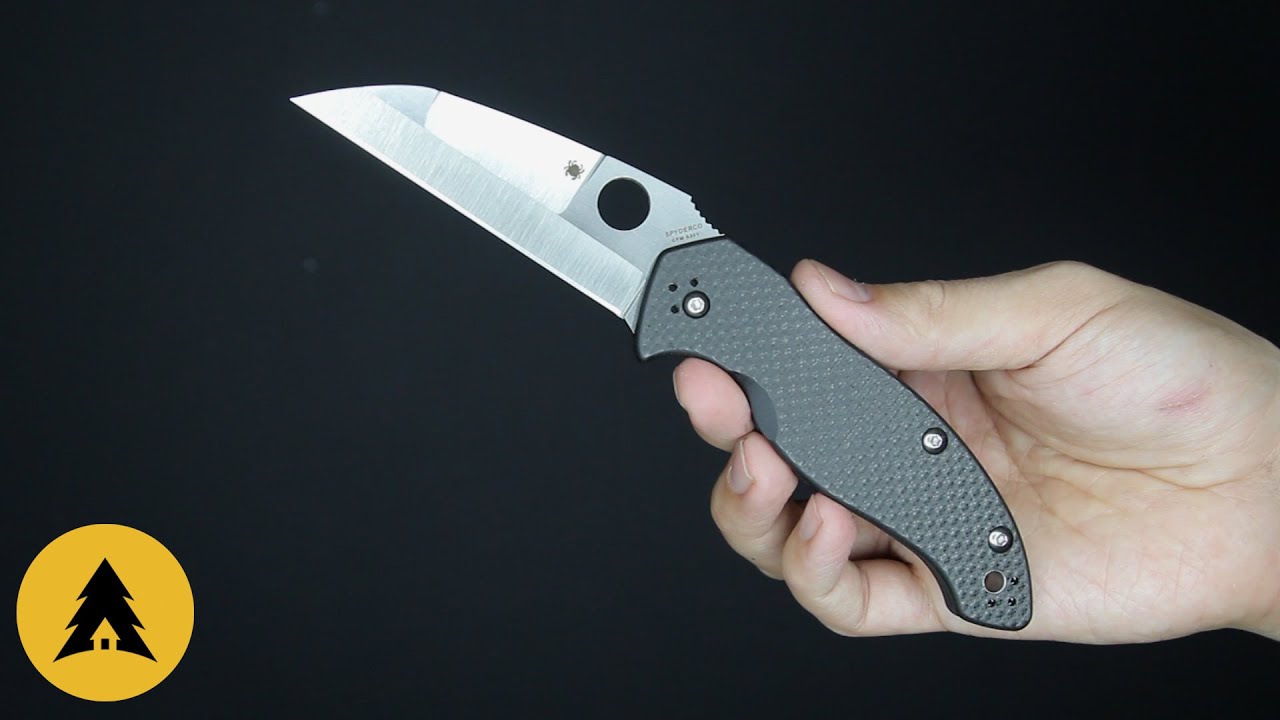 Складной нож Spyderco Canis C248CFP