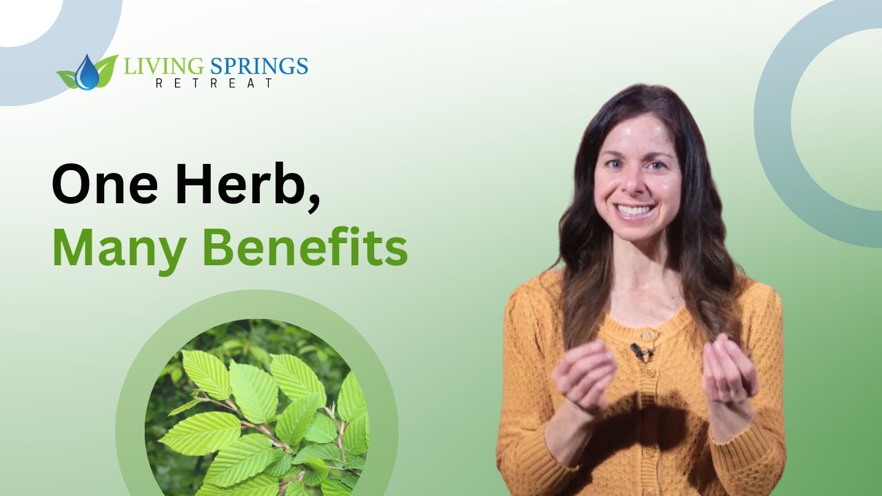 Hidden Benefits of Slippery Elm (Erin Hullender&rsquo;s #1 Herb)