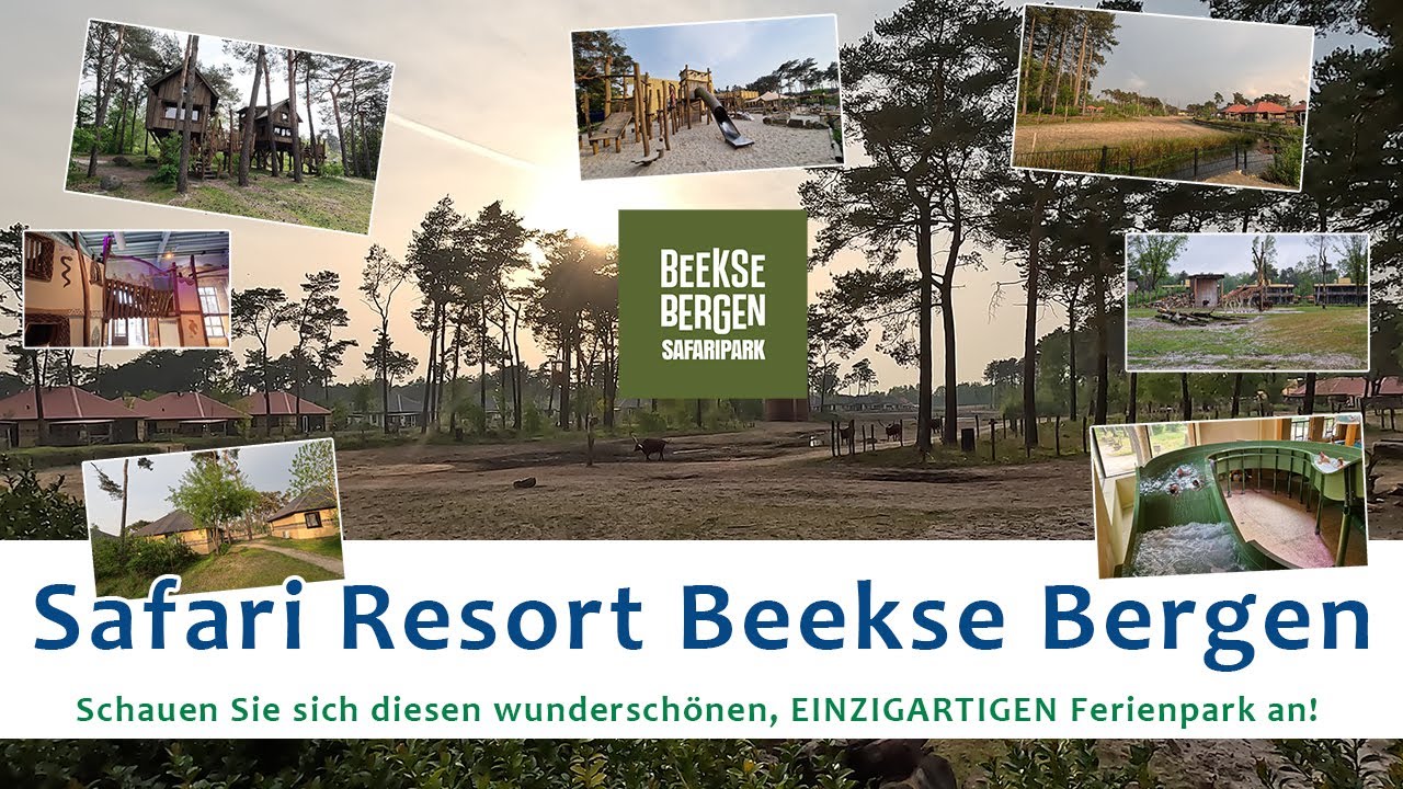Safari Resort Beekse Bergen: Rundgang durch den Ferienpark, Karibu Town und Maji Springs