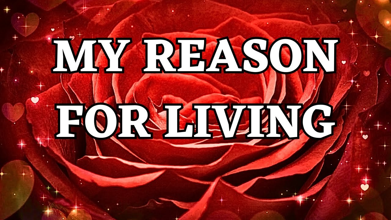 💖 You Are My Reason For Living  💖