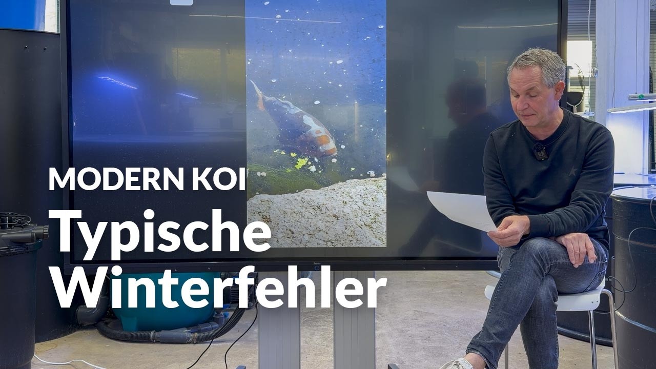 Koiteiche im Winter richtig einstellen | Modern Koi Blog #8040