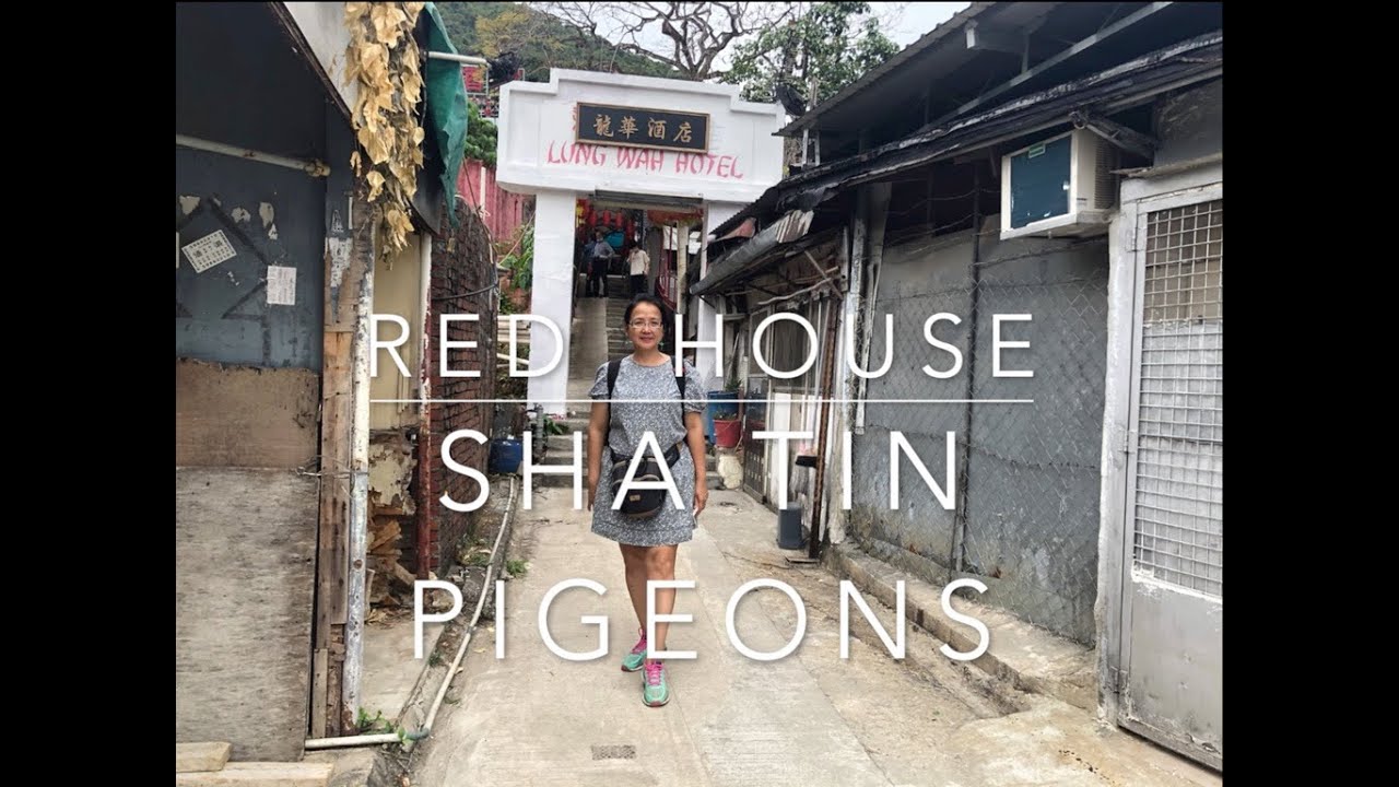 Thing To Do In Sha Tin ( Part 10 )