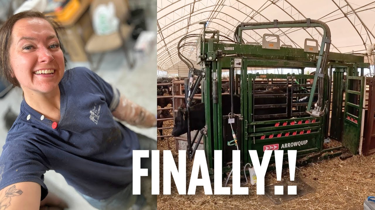 The END of 2025 Breeding -- FINALLY!!!