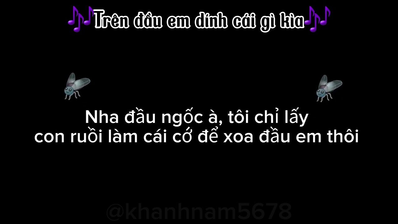 Tr&ecirc;n đầu em d&iacute;nh c&aacute;i g&igrave; k&igrave;a🪰 (Bản gốc)